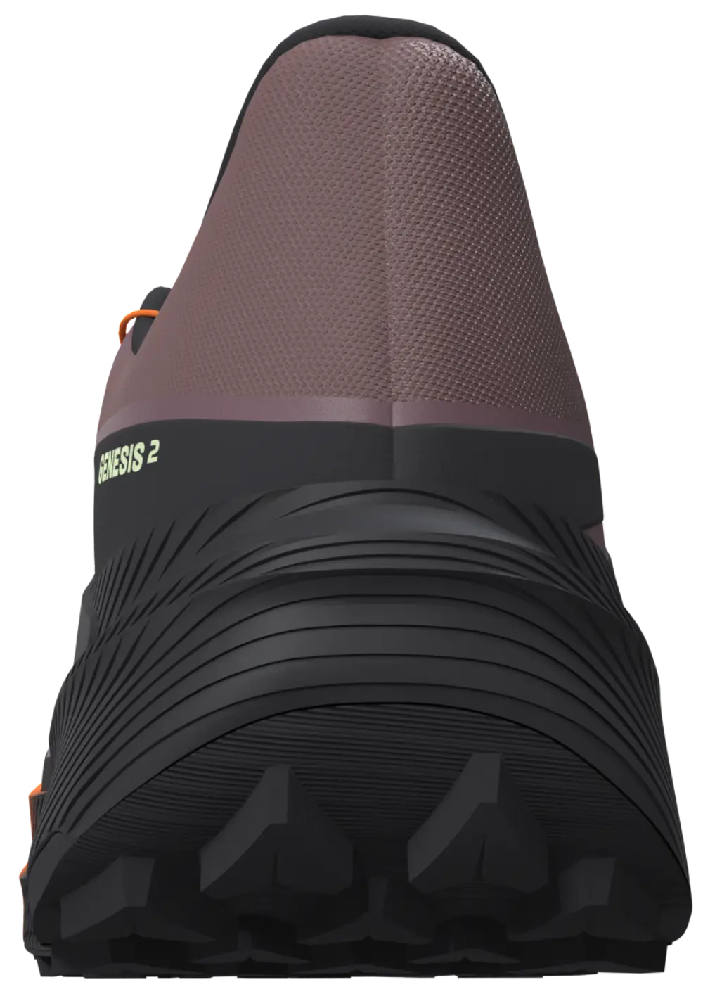 Salomon Genesis 2
