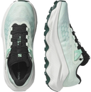 Salomon Ultra Glide 4