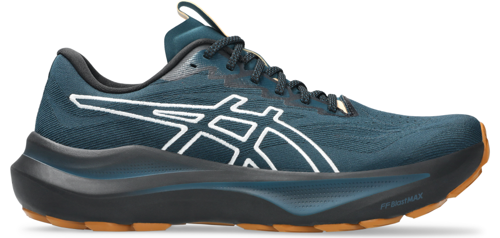 Asics Gt 2000 14 Tr