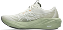 Asics Gt-2000 15