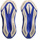 Asics Novablast 5