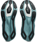 Asics Novablast 6