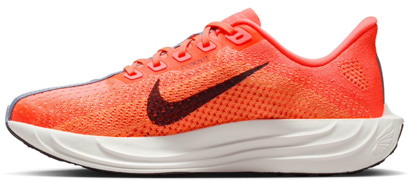 Nike W Pegasus Plus - second image