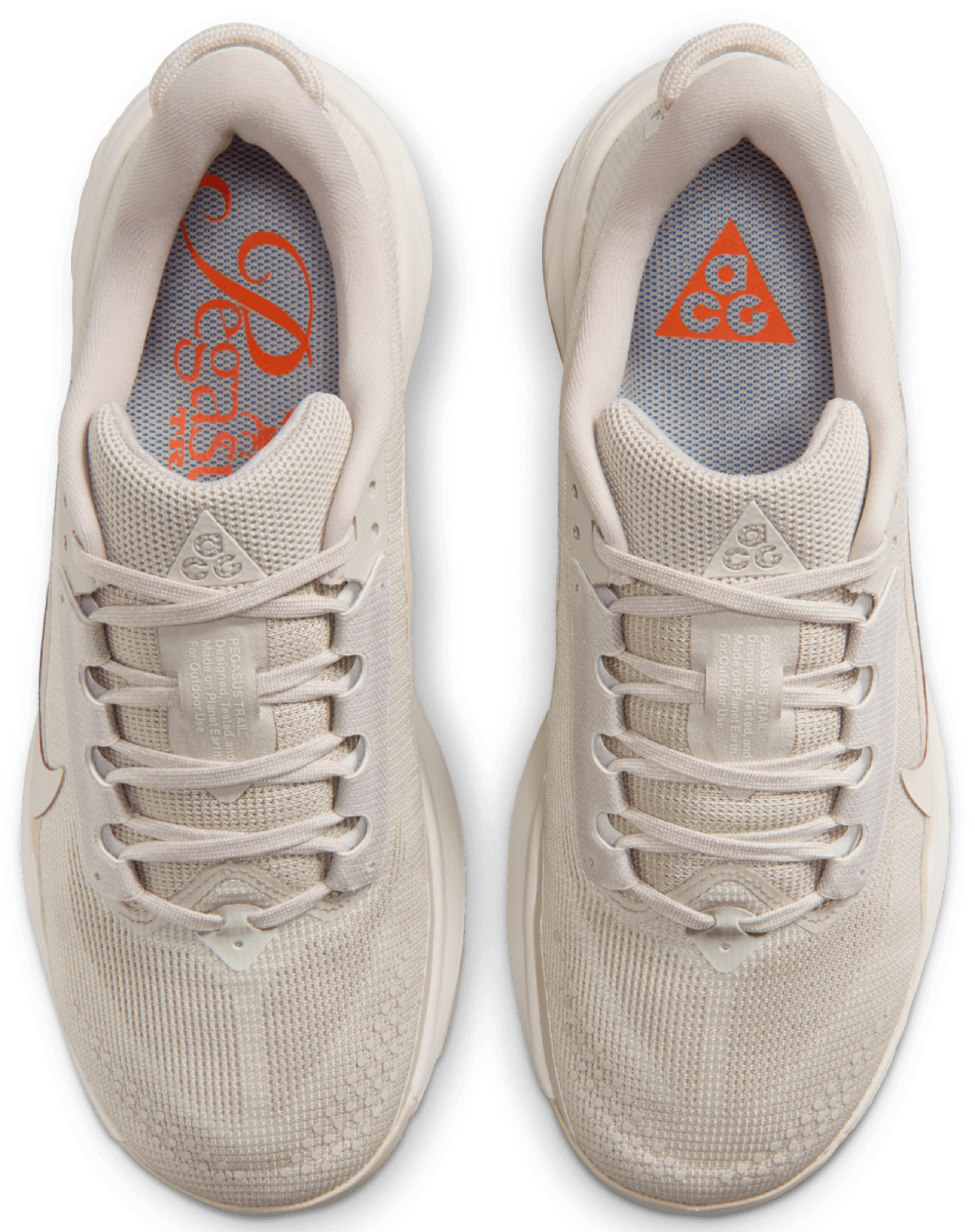 Nike Acg Pegasus Trail
