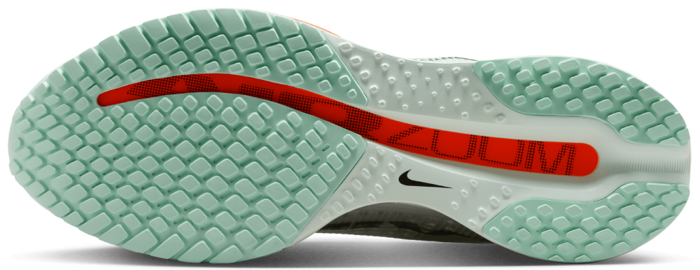 Nike Pegasus Premium