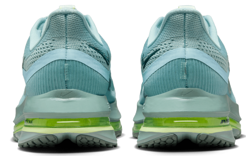 Nike Pegasus Premium