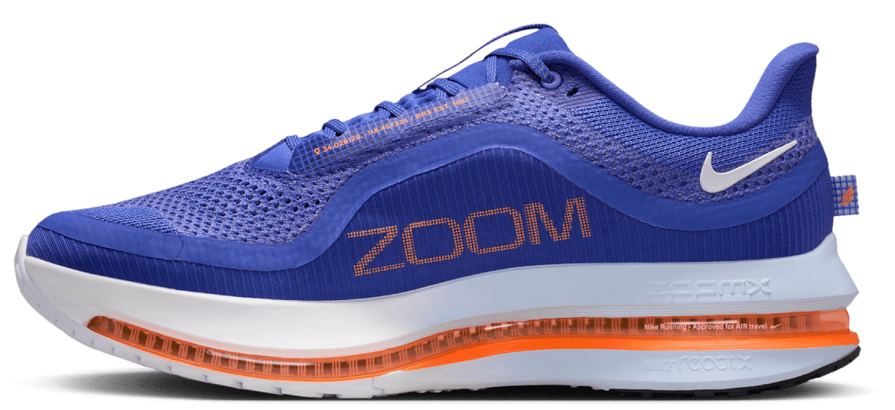 Nike Pegasus Premium