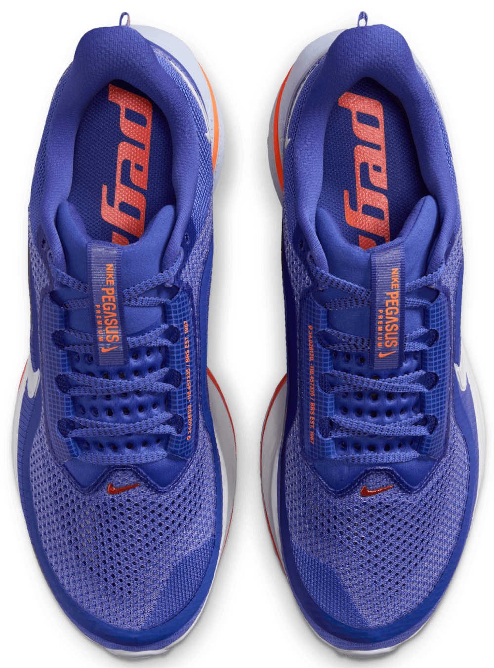Nike Pegasus Premium