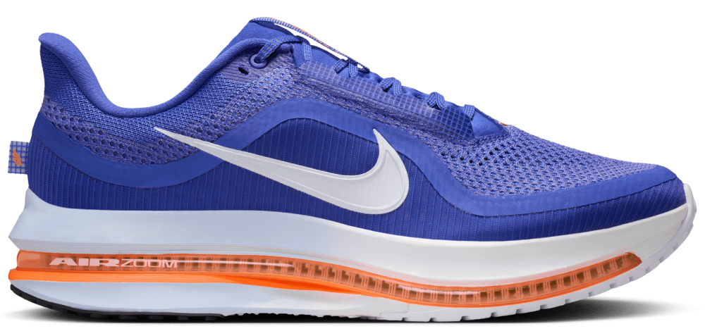 Nike Pegasus Premium