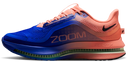 Nike Pegasus Premium