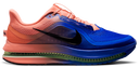 Nike Pegasus Premium