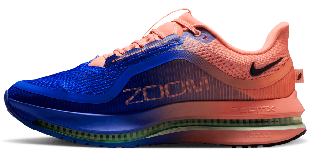 Nike Pegasus Premium