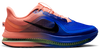Nike Pegasus Premium thumbnail