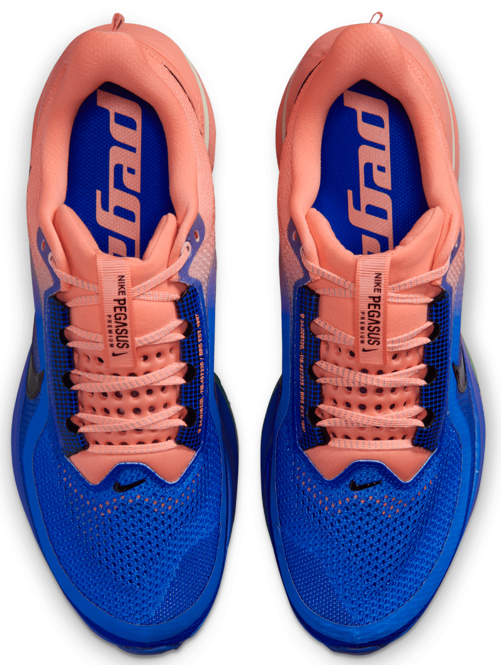 Nike Pegasus Premium