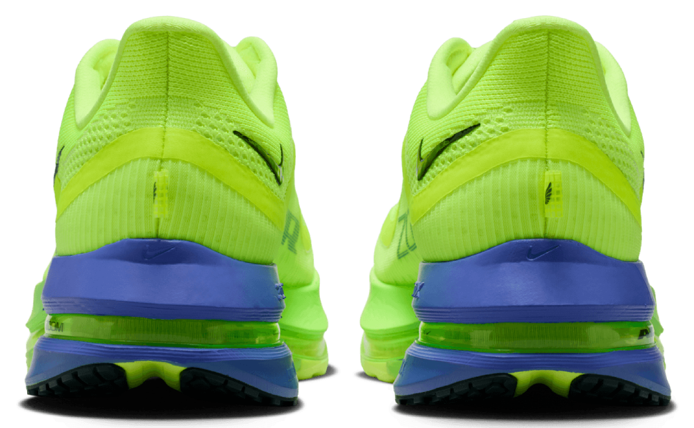 Nike Pegasus Premium
