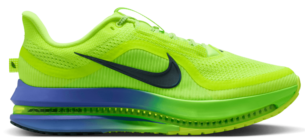 Nike Pegasus Premium