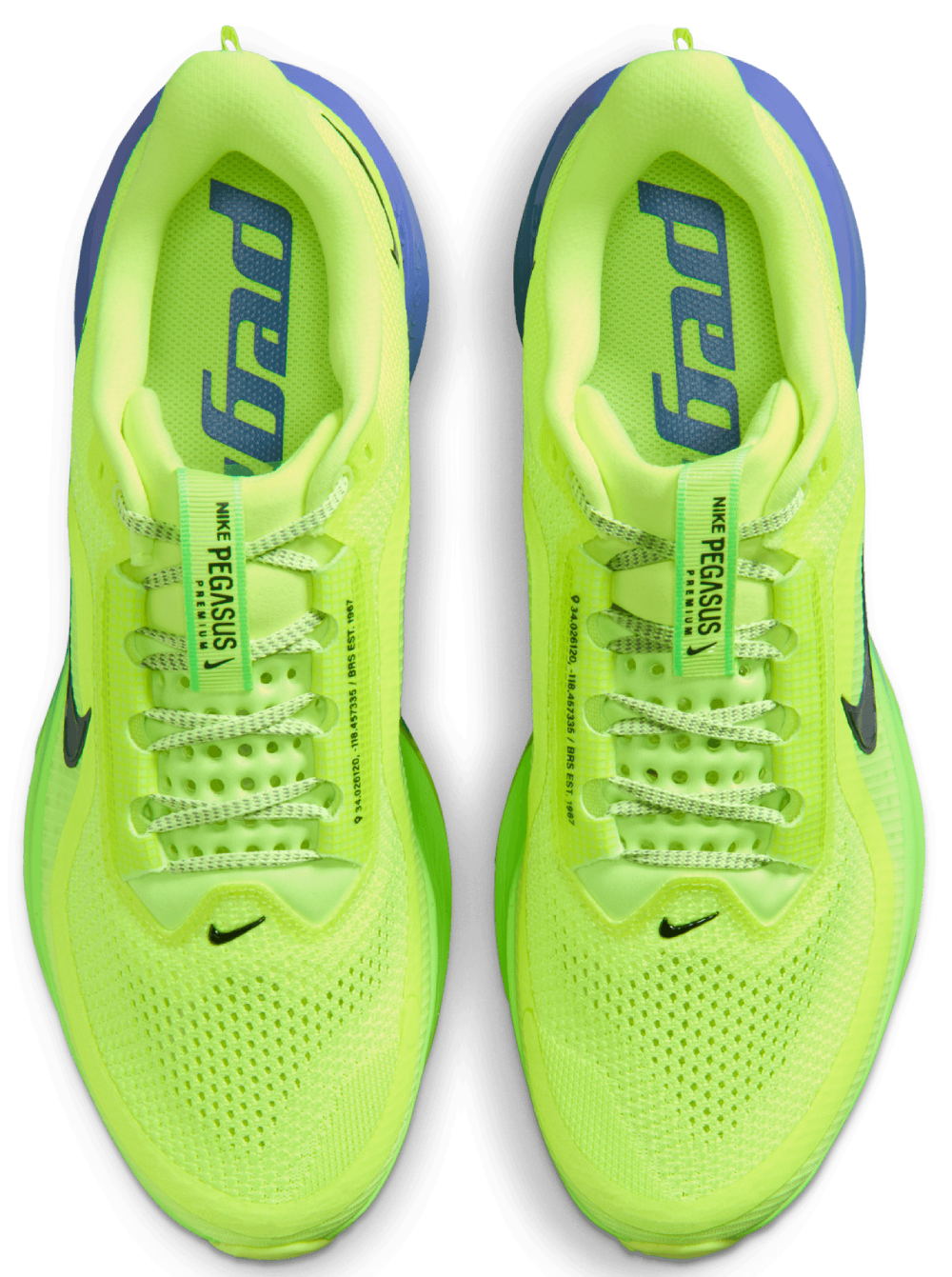 Nike Pegasus Premium