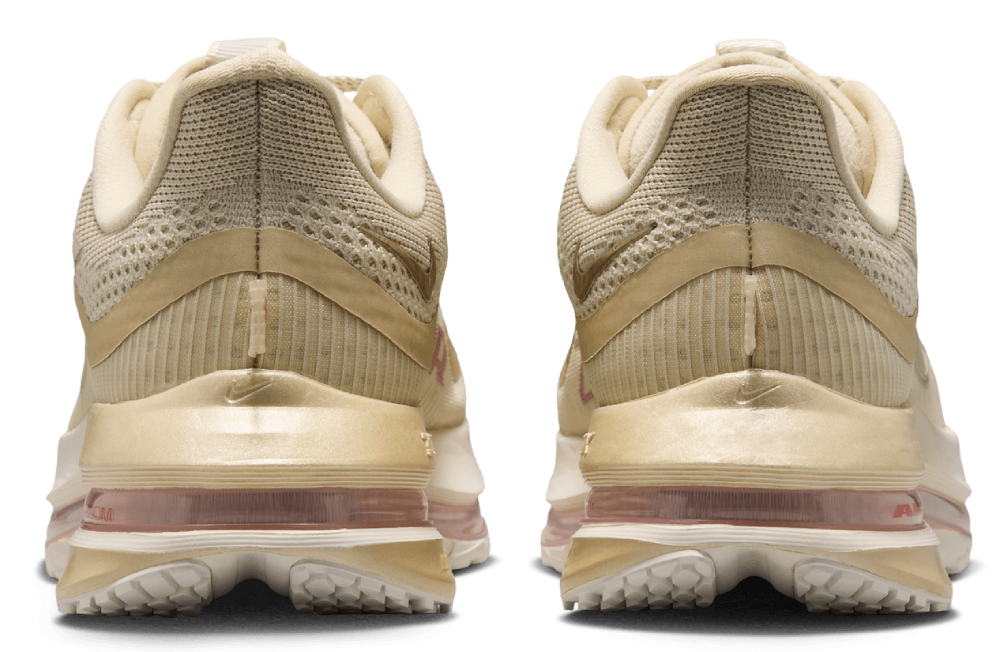 Nike Pegasus Premium
