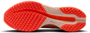 Nike Pegasus Premium