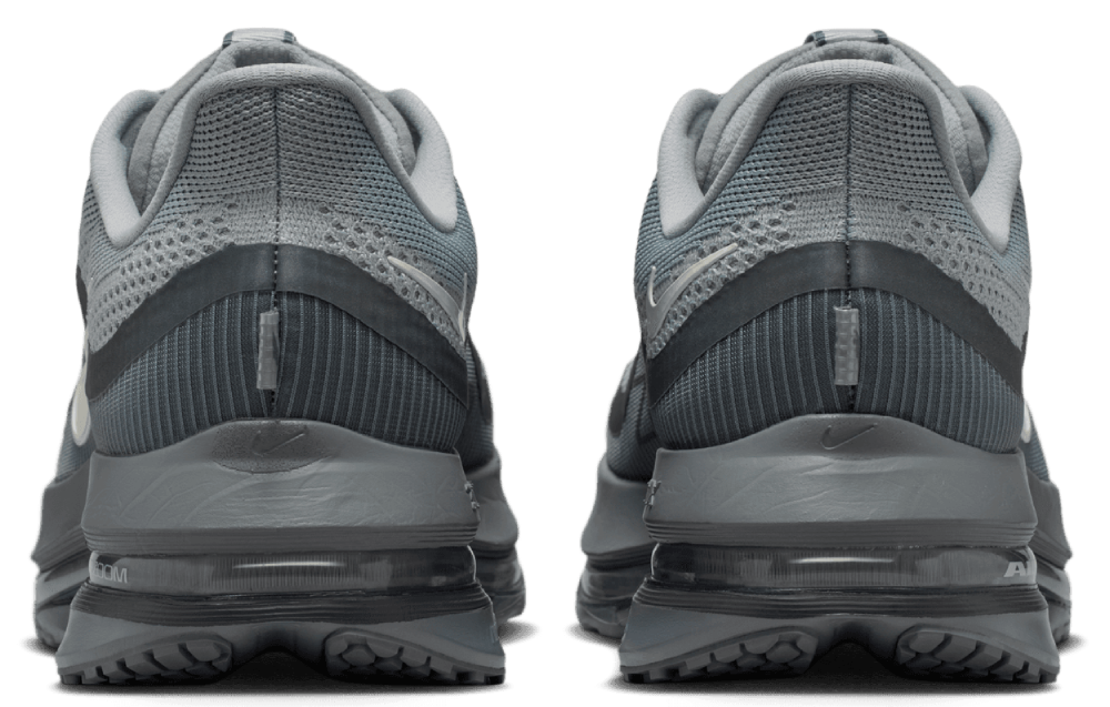 Nike Pegasus Premium