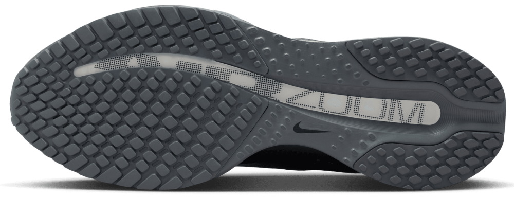 Nike Pegasus Premium