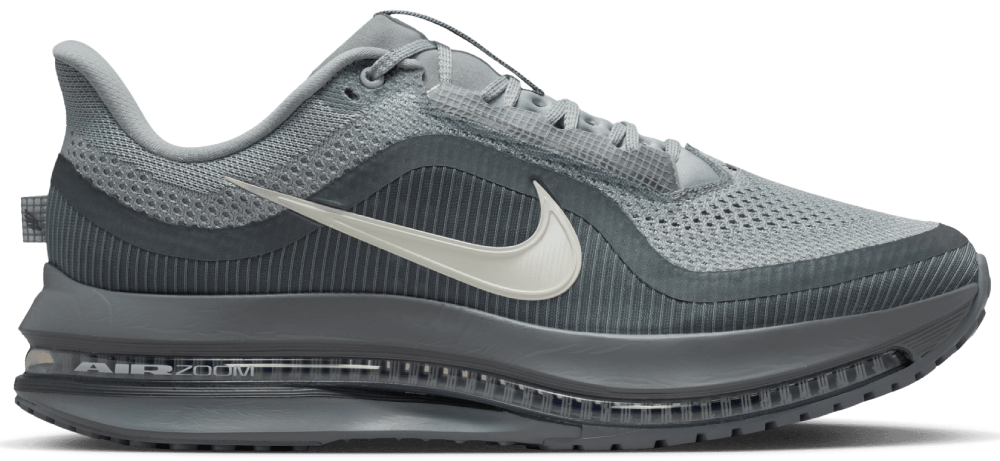 Nike Pegasus Premium