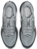 Nike Pegasus Premium