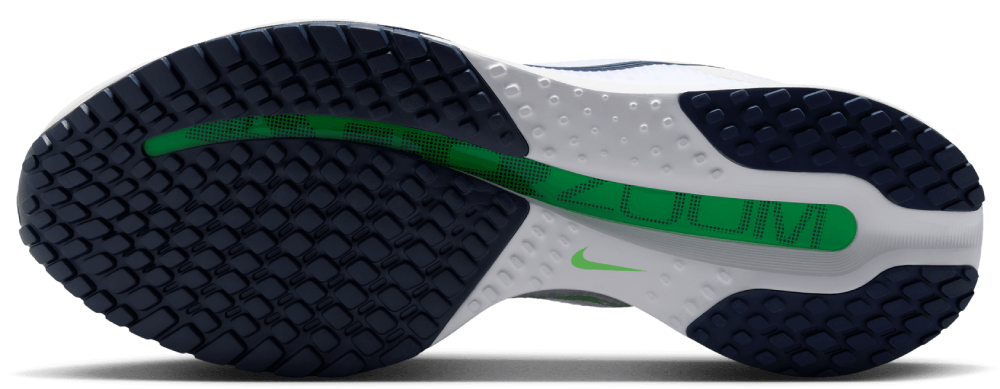 Nike Pegasus Premium