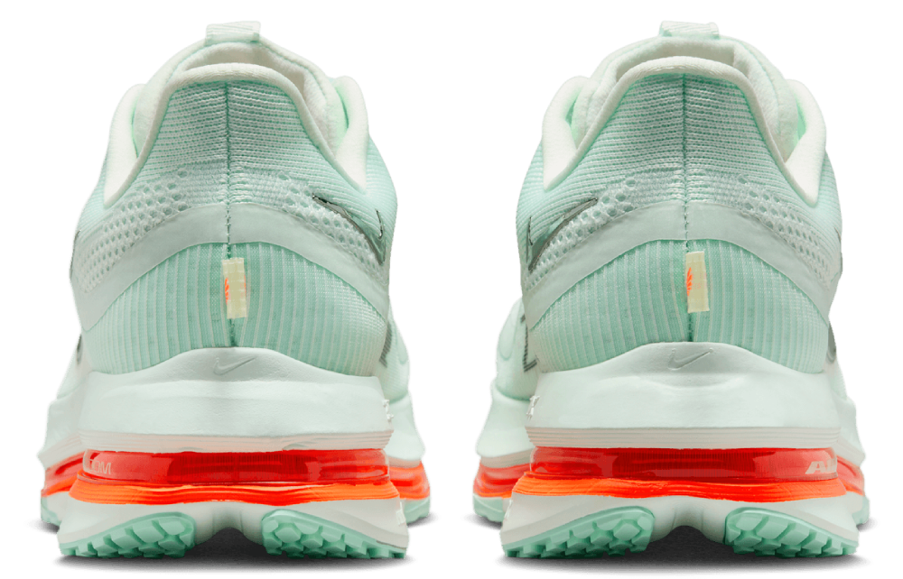 Nike Pegasus Premium