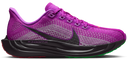 Nike Pegasus Plus Fk