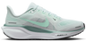 Nike W Pegasus 41