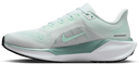 Nike W Pegasus 41