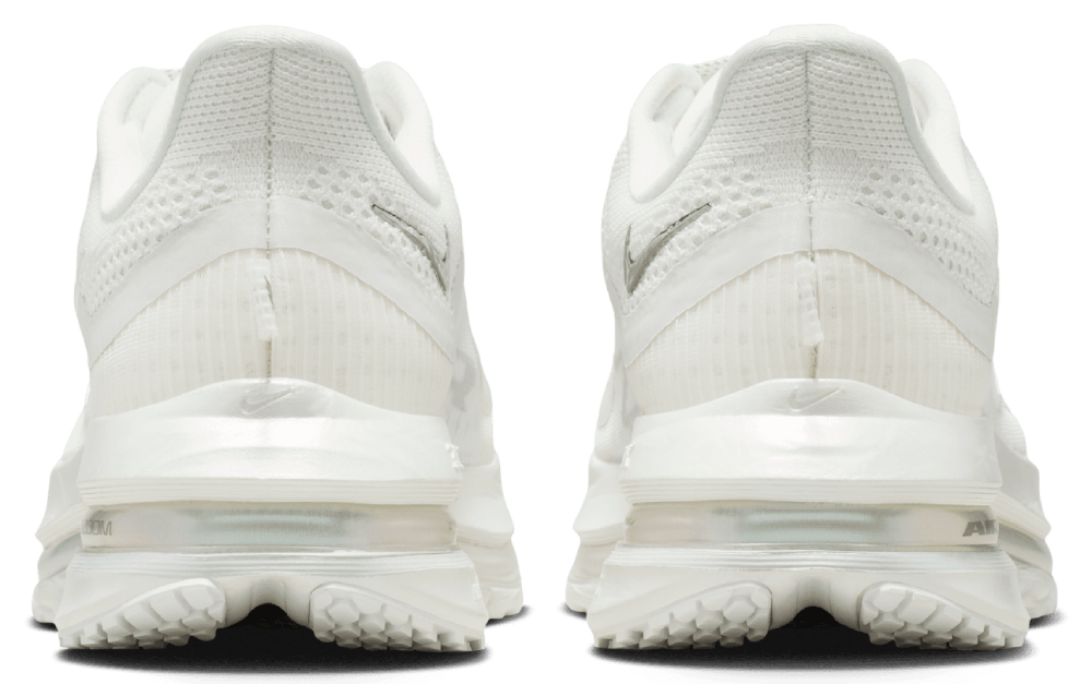 Nike W Nike Pegasus Premium