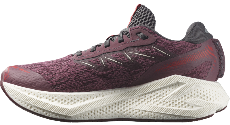 Salomon Aero Glide 4 - second image