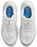 Nike Pegasus Premium