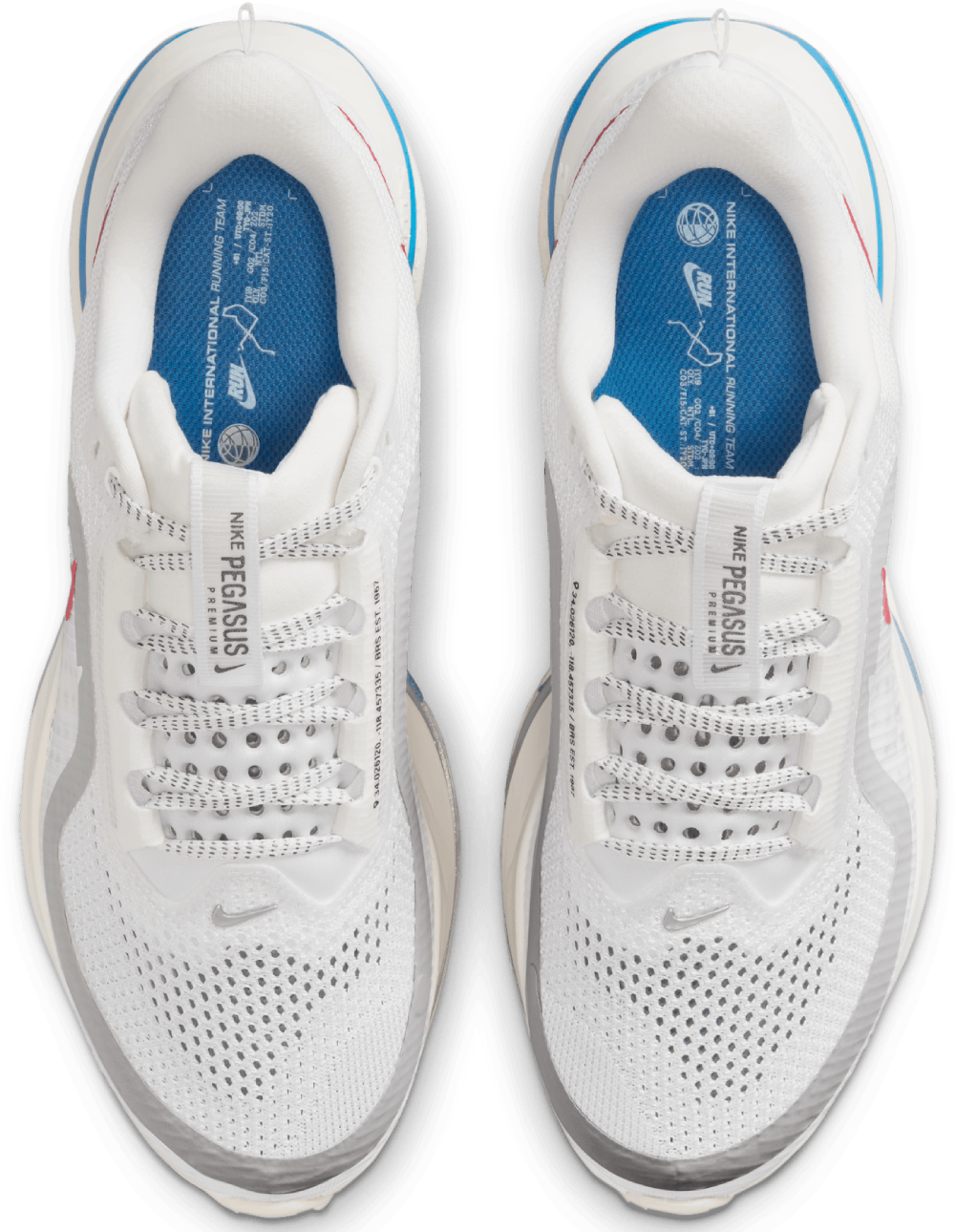 Nike Pegasus Premium