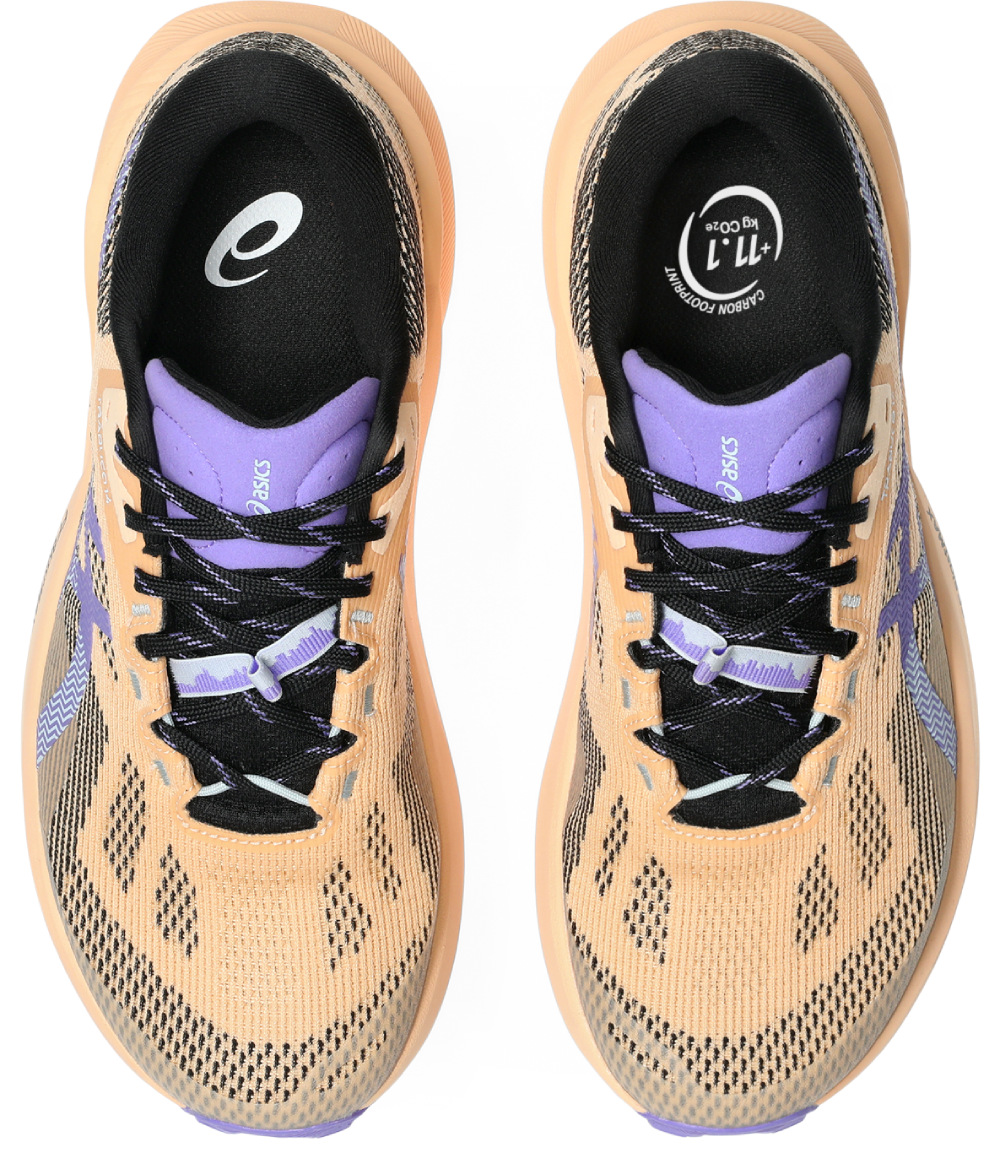 Asics Trabuco 14