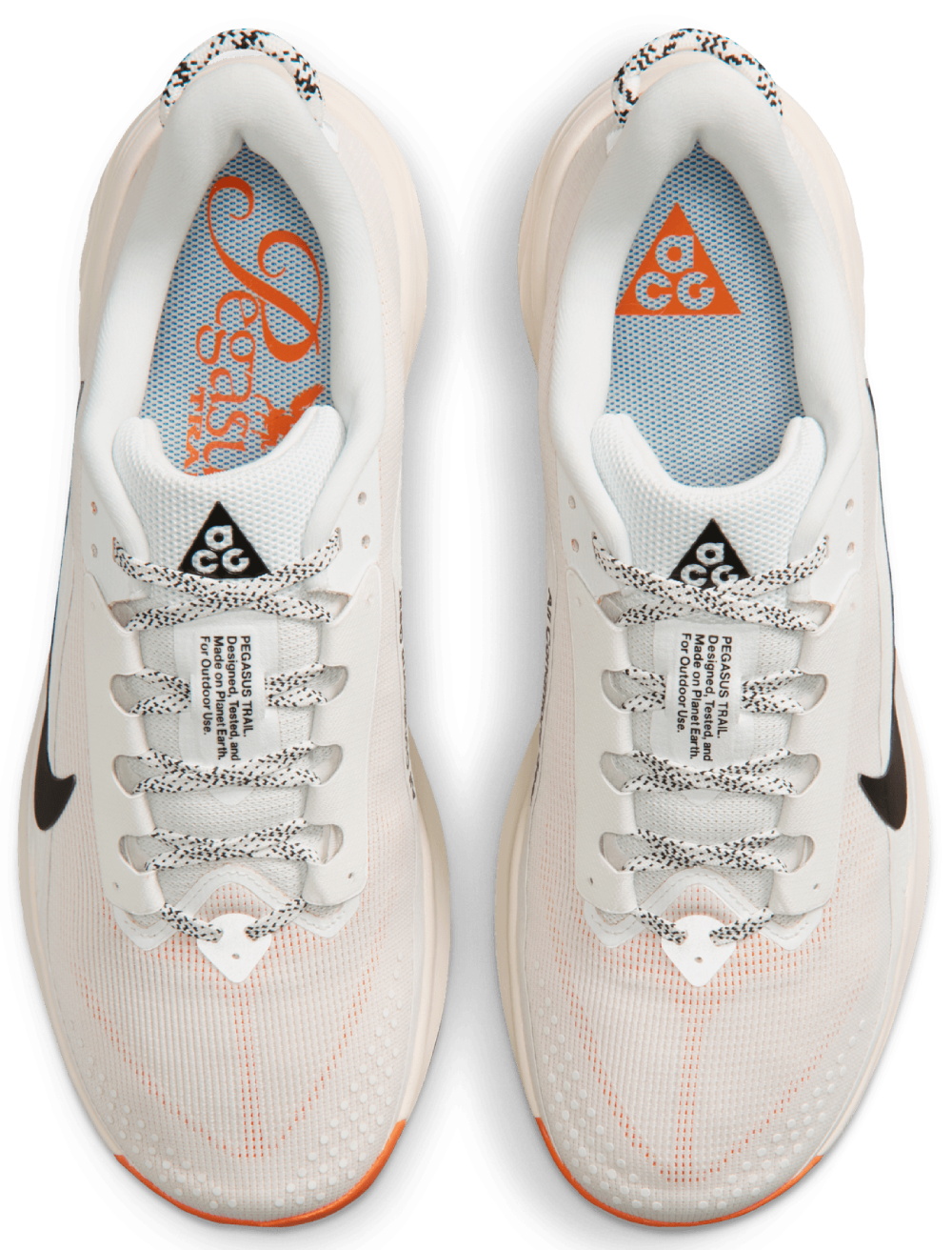 Nike Acg Pegasus Trail
