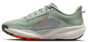Nike Acg Pegasus Trail