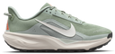Nike Acg Pegasus Trail