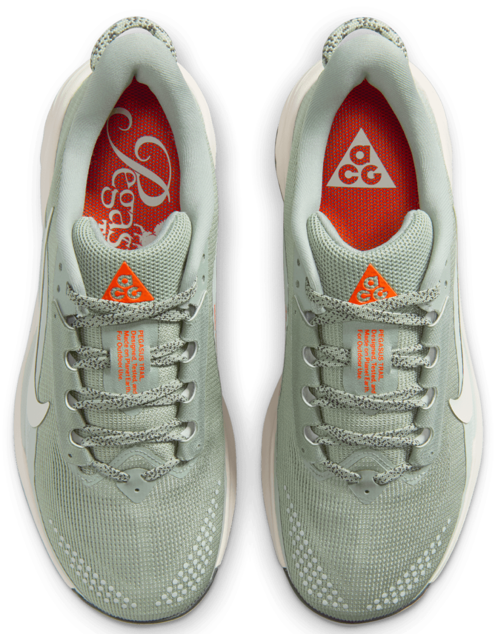 Nike Acg Pegasus Trail