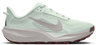 Nike Acg Pegasus Trail