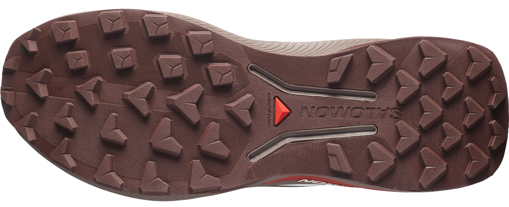 Salomon Genesis 2