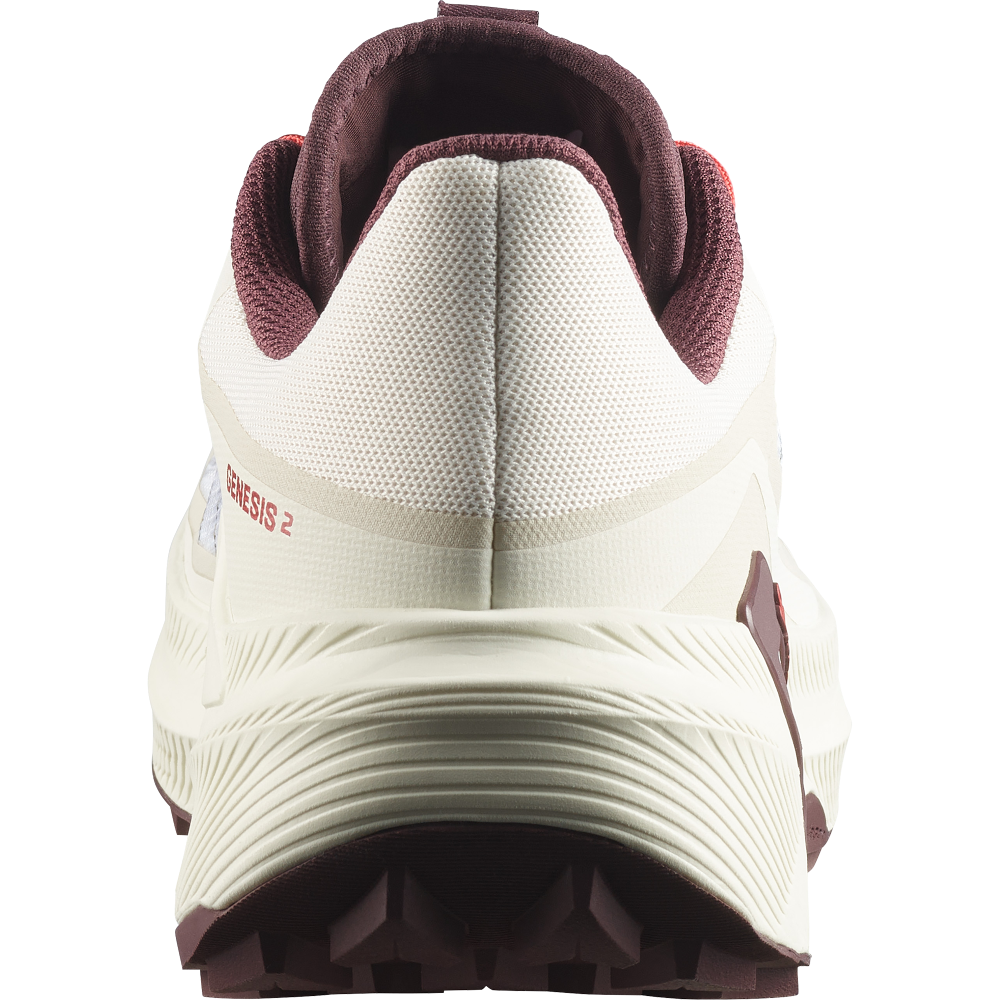 Salomon Genesis 2