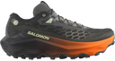 Salomon Ultra Glide 4