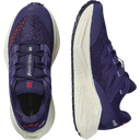 Salomon Aero Glide 3 Grvl W