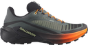 Salomon Genesis 2