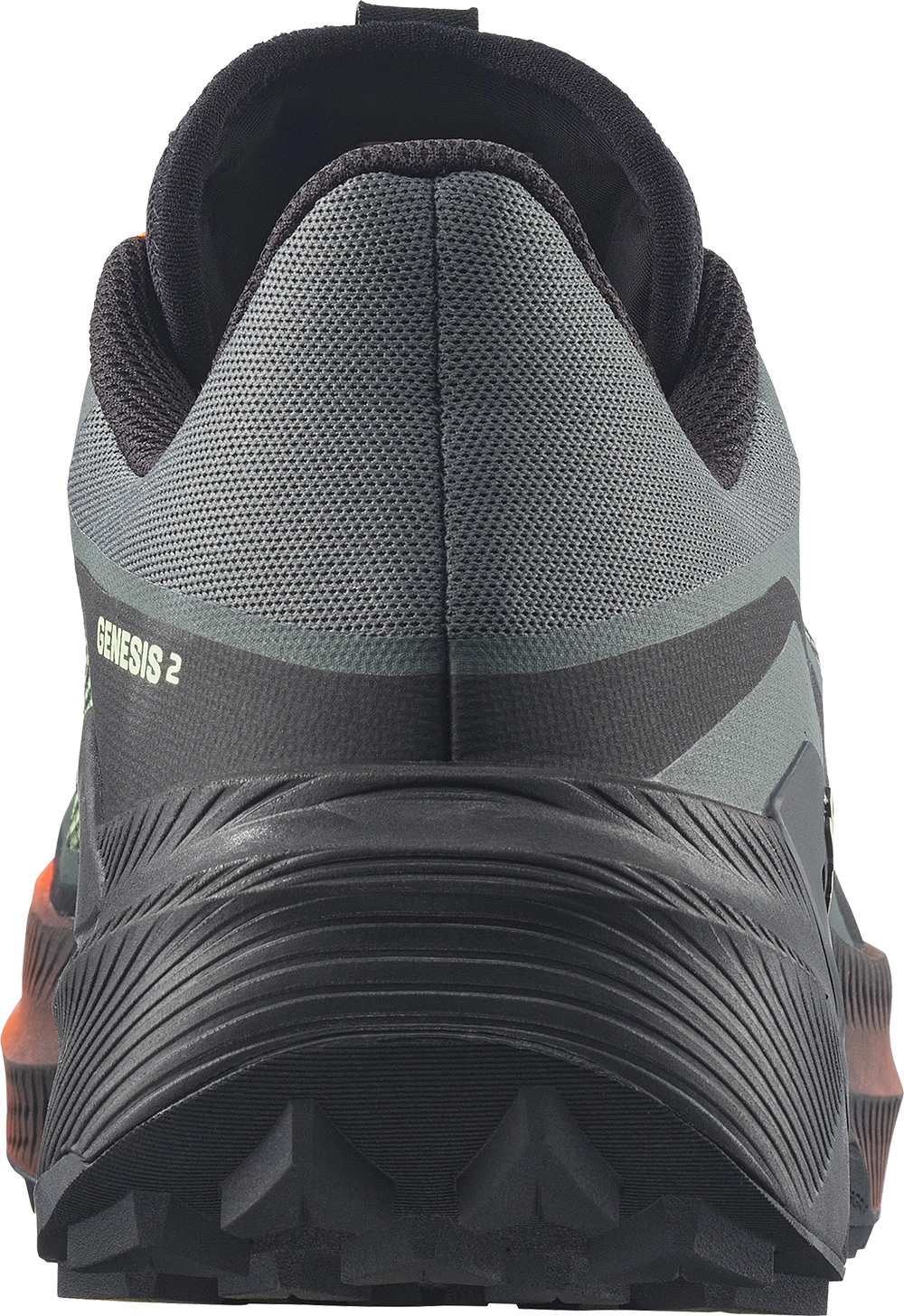 Salomon Genesis 2