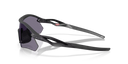 Oakley Radar Plate