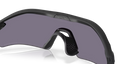 Oakley Radar Plate